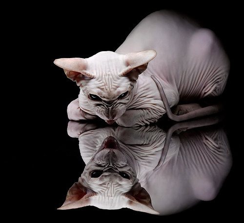 史上最惊心动魄的逆转“经典时刻”，你看过几次？，惊人的逆转