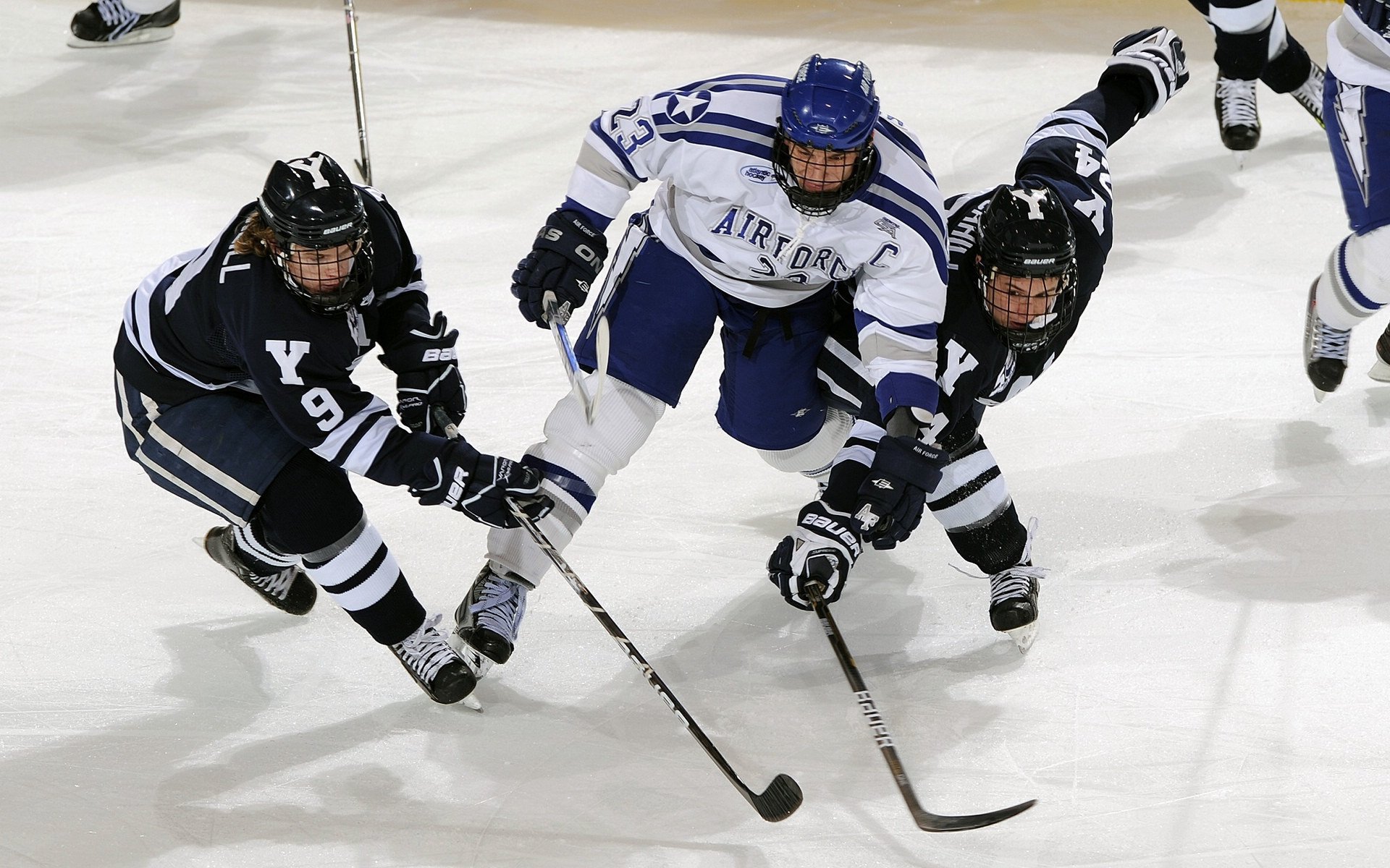 九游jiuyou-“南非羚羊队的前景广阔：萨尔·巴赫是关键”